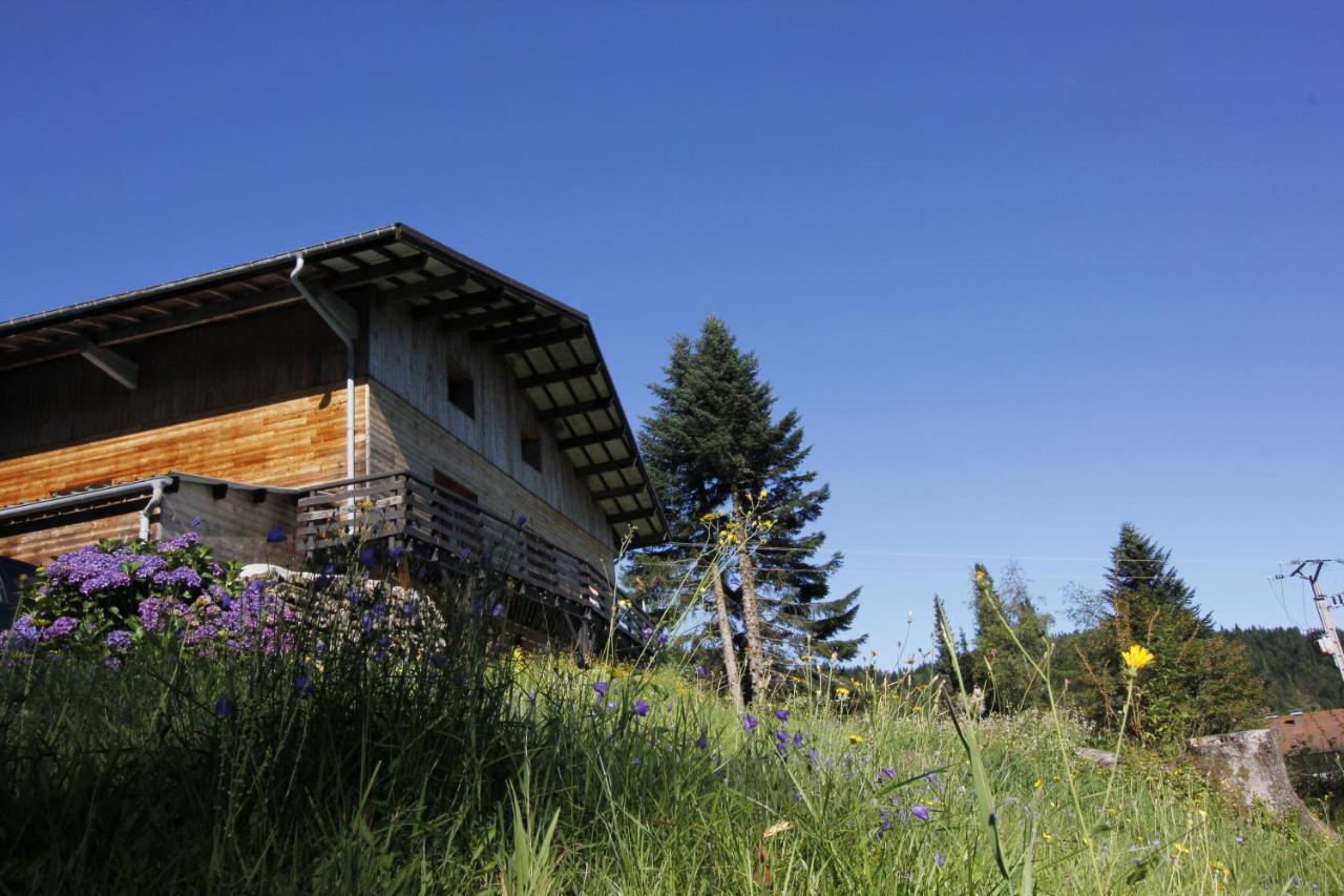 Le Chalet De Valentine Bed & Breakfast Ventron Dış mekan fotoğraf
